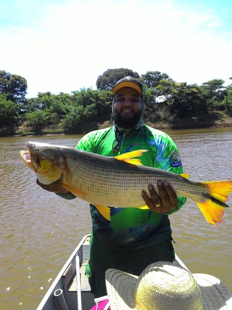 Pescador com Dourado (Salminus franciscanus) em trecho ainda preservado do São Francisco