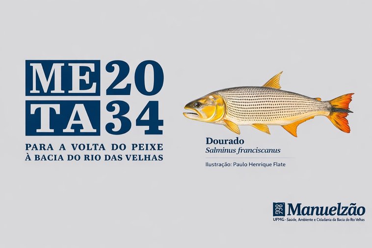 Capa do Manifesto Meta 2034 com a ilustração do Dourado (Salminus franciscanus) por Paulo Henrique Fiote